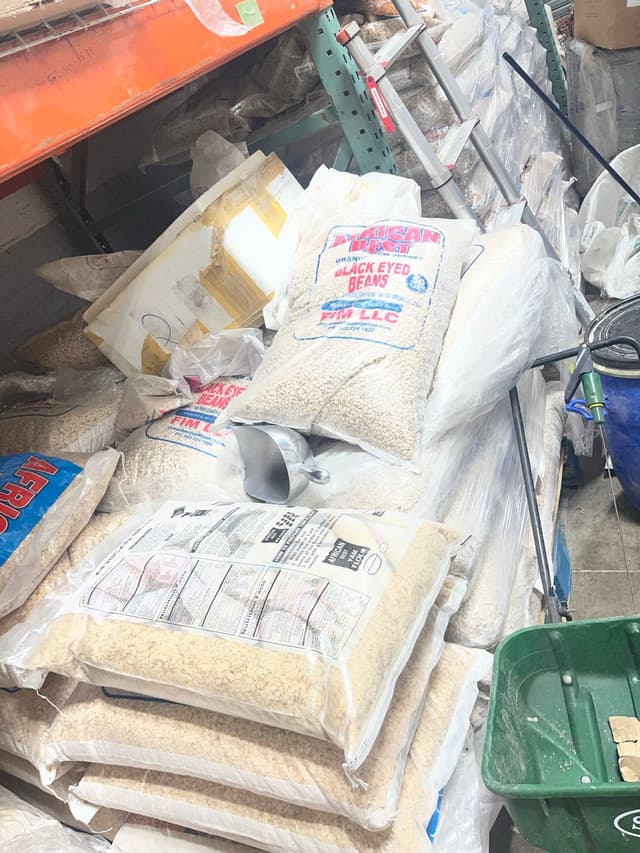 Rice